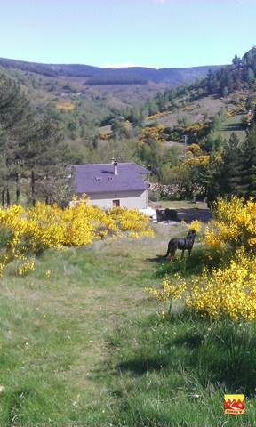 En descendant sur le col...Le Gîte (Copier)